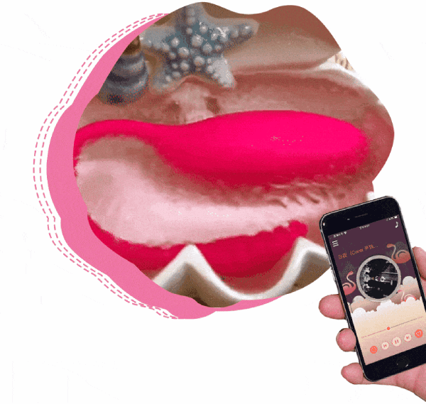 Đại lý Trứng rung thiên nga Flamingo Magic Motion điều khiển từ xa bằng điện thoại giá sỉ Đại lý Trứng rung thiên nga Flamingo Magic Motion điều khiển từ xa bằng điện thoại giá sỉ