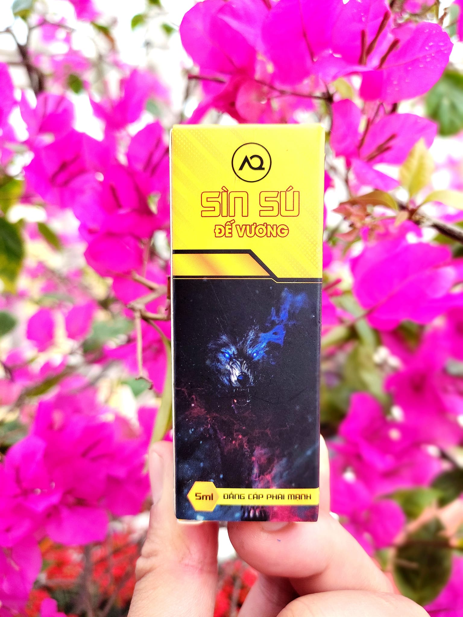 Nơi bán Cao Sìn sú Đế Vương dạng xịt chính hãng từ thảo dược Ê Đê Việt Nam tốt nhất Nơi bán Cao Sìn sú Đế Vương dạng xịt chính hãng từ thảo dược Ê Đê Việt Nam tốt nhất