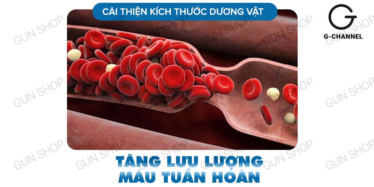 Nhập sỉ Maxman chính hãng cương dương kéo dài thời gian chống xuất tinh sớm hộp 10 viên chính hãng Nhập sỉ Maxman chính hãng cương dương kéo dài thời gian chống xuất tinh sớm hộp 10 viên chính hãng