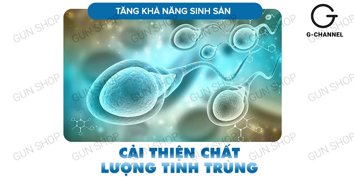 Nhập sỉ Maxman chính hãng cương dương kéo dài thời gian chống xuất tinh sớm hộp 10 viên chính hãng Nhập sỉ Maxman chính hãng cương dương kéo dài thời gian chống xuất tinh sớm hộp 10 viên chính hãng